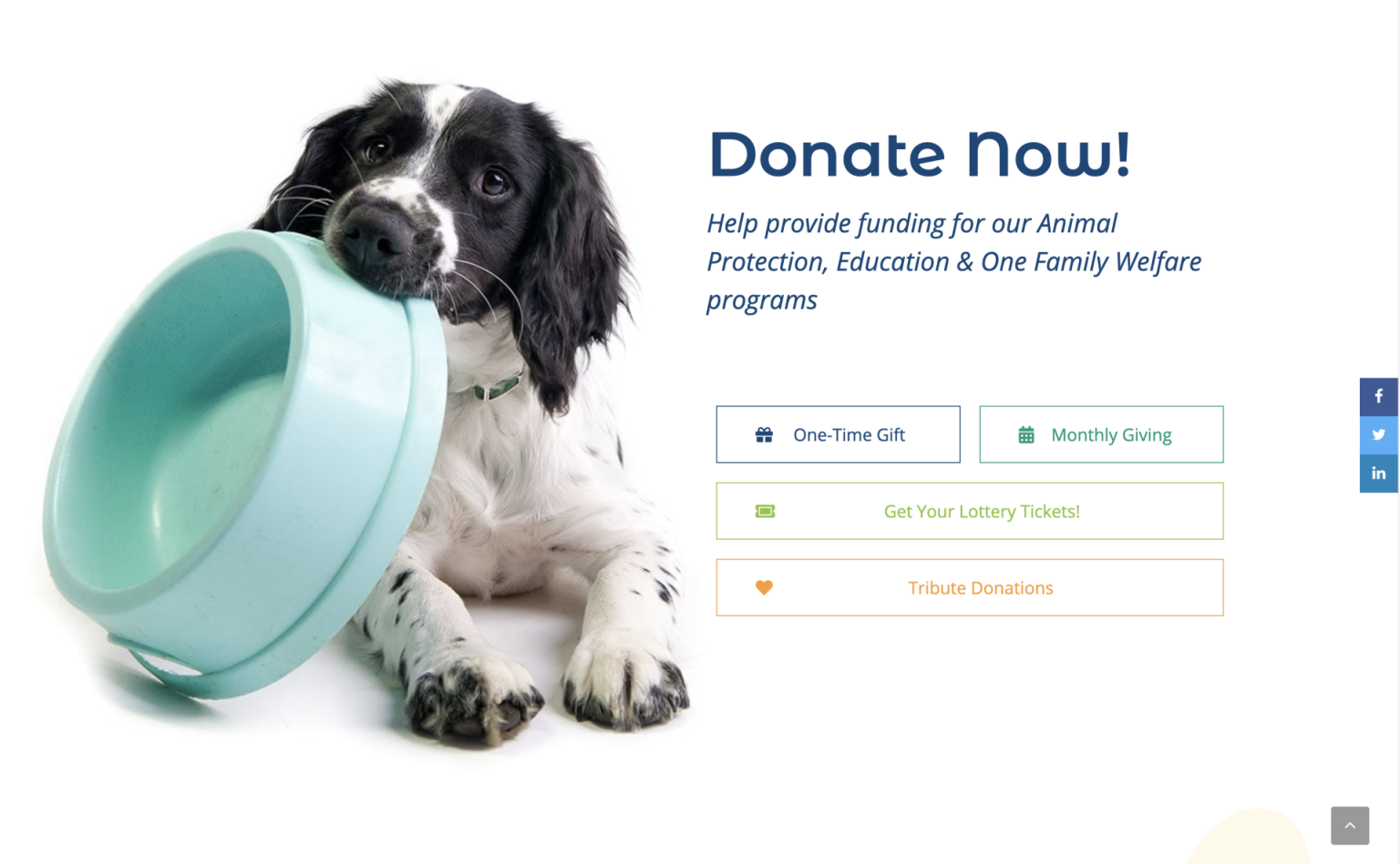Alberta-SPCA-Donate