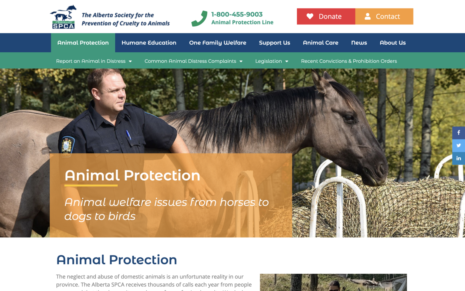 Alberta-SPCA-Protection