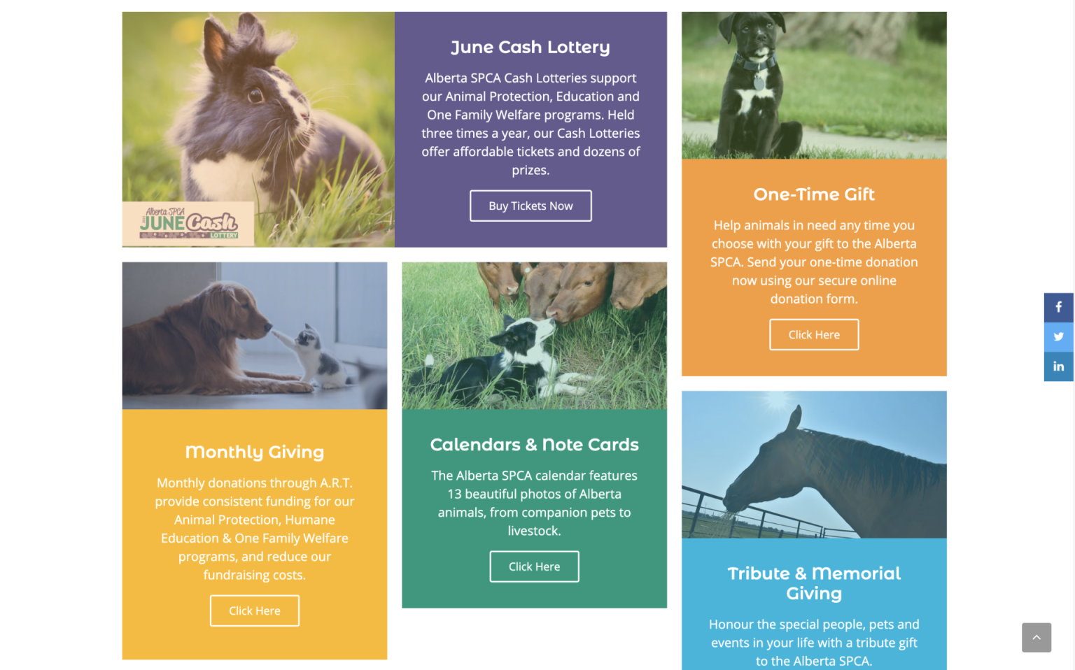 Alberta-SPCA-Sections